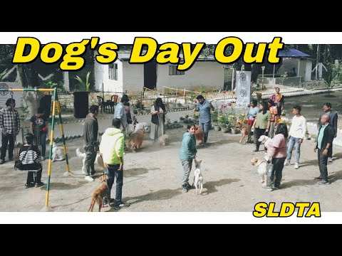 Dogs Day Out by SLDTA | Official Event Video | Sayantan Lodh Dog Training Academy
