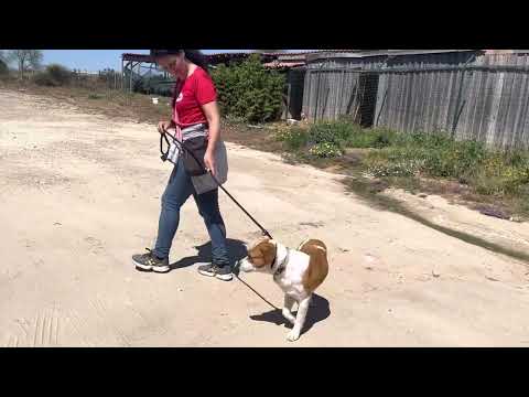 Vídeo de HORTA