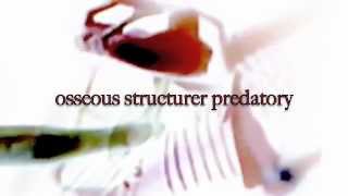X-RAYS. (osseous structures predatory). diegogioè.(pretmusic).