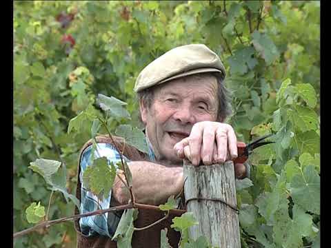 Lo lop e lo merchand de vin