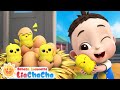 Lagu Menghitung Ayam Kecil Lima Ayam Kecil LiaChaCha ️ Lagu Anak LiaChaCha Bahasa Indonesia