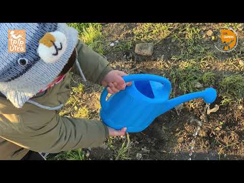 Azioni di Pace - Ip Ip Urrà - 21 marzo 2022 - Primavera di Pace