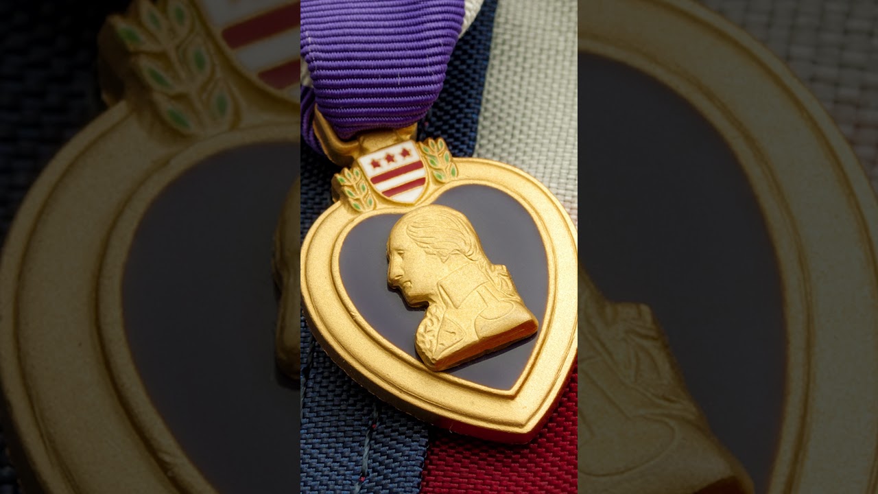 O que é o Purple Heart (Coração Purpura) - Foca na História #Shorts