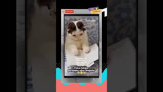 Download lagu meng besok meeting dulu sama ELON MUSE sebelum ujian magister mp3 Download lagu meng besok meeting dulu sama ELON MUSE sebelum ujian magister mp3