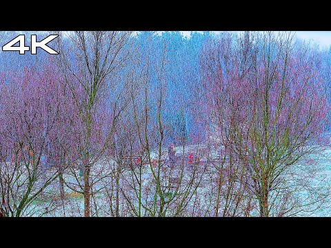 Ambience Nomadic Sounds and Snowing in Prague,Czechia 🇨🇿 Sleep in 20 minutes [4K HDR 60fps] ASMR