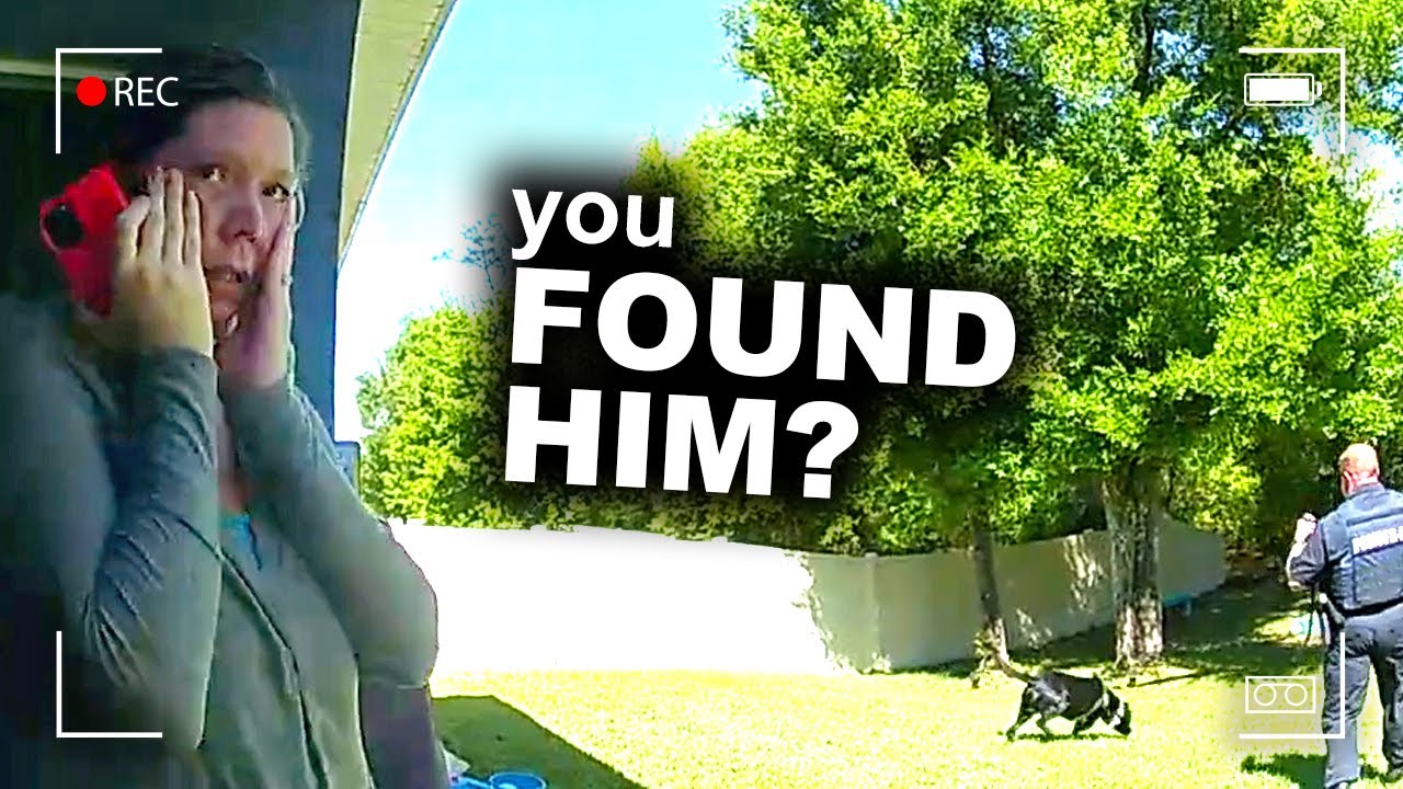 Missing Boy Found by Unexpected Hero