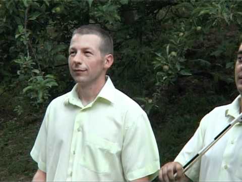 VTS 01 Vita mali i orkestar URNEBES