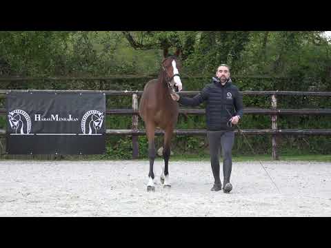 GOOD TIME MENILJEAN Z