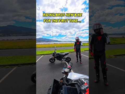 Как правильно обкатать новый байк, братан... #grom #wheelie #gromwheelie #bikelife #biker #motorc...