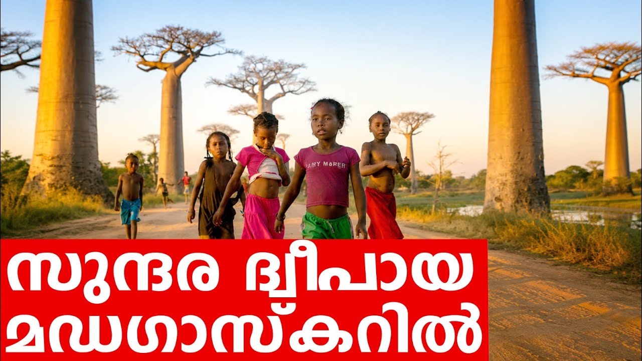 Sancharam | Madagascar - 01 | Santhosh George Kulangara | Safari TV