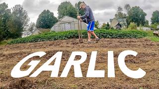 How We Plant Our Garlic