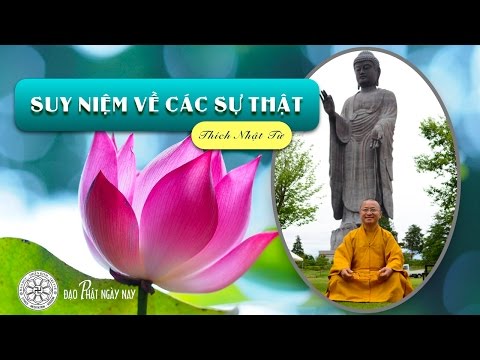 Suy niệm về các sự thật (23/04/2013)