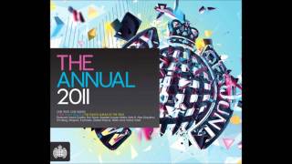 Ministry Of Sound - The Annual 2011 (Megamix Disc 2)
