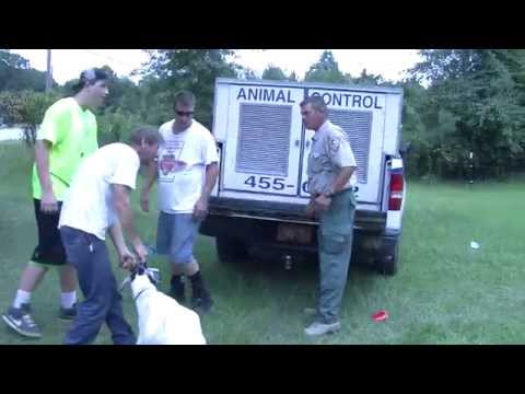 Onslow County Animal Rescue
