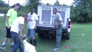Onslow County Animal Services