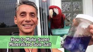How to Make Super Mineralized Liquid Sole Salt | Dr. Robert Cassar