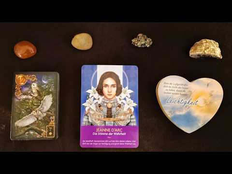 Daily message 24.02.2026 Lenormand The Owls (12)🦉🦉 Communication Love❤JEANNE D'ARC⚜️Lightness🌞