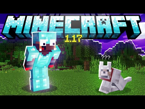 FIZ A MELHOR ARMADURA DO SERVIDOR ! - Minecraft 1.17