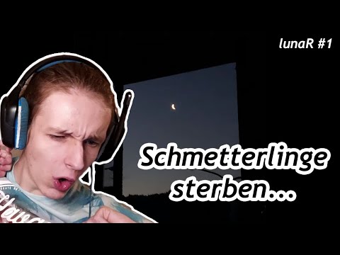 Mein most hyped Song von lunaR... | Edo Saiya – Schmetterlinge Sterben | Reaction