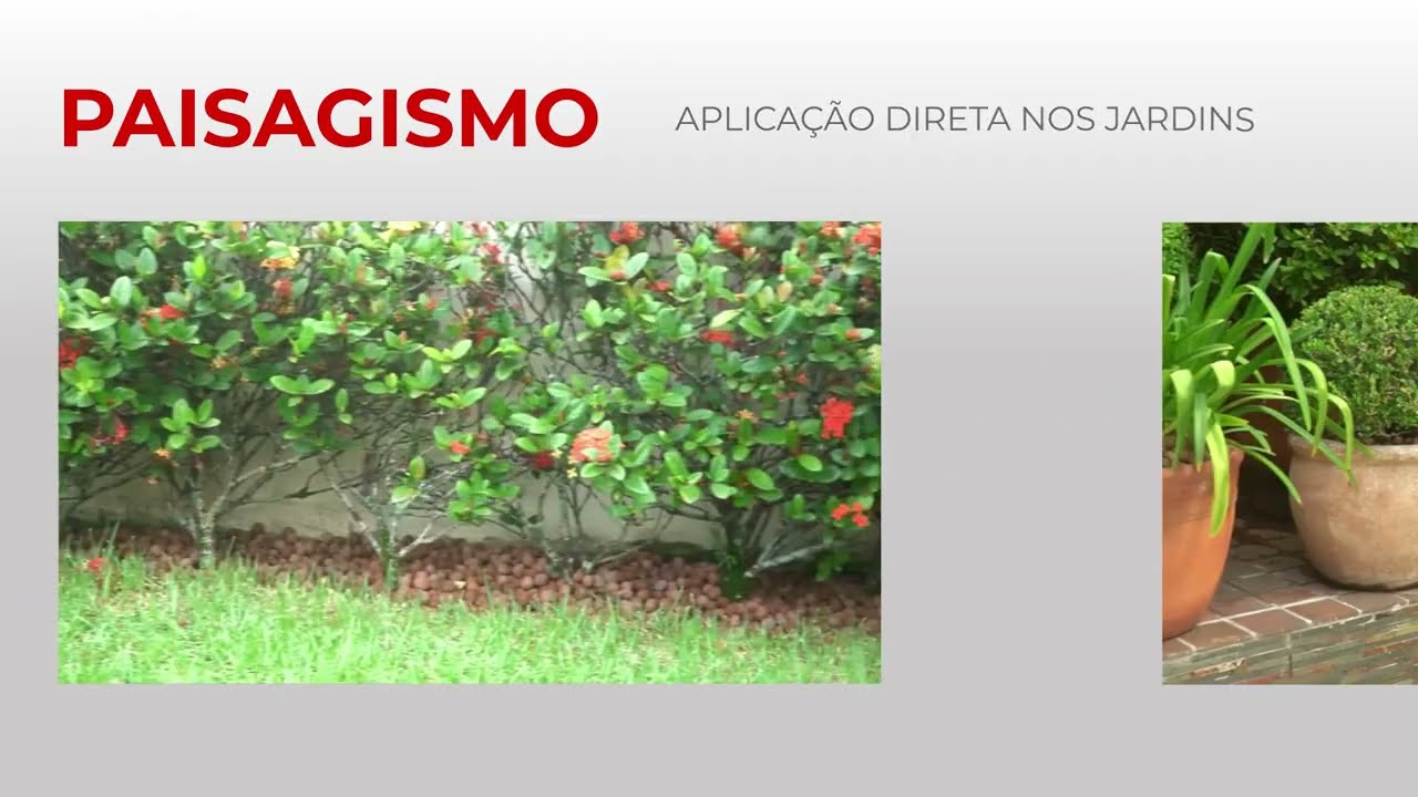 Vídeo: Paisagismo com Argila Expandida CINEXPAN