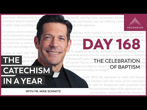 Day 168: The Celebration of Baptism — The Catechism in a Year (with Fr. Mike Schmitz)
