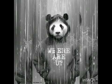 Тимати, мот, Егор крид, скруджи, Pabl A, HaZima над над облаками