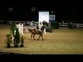 Mahoe Moon Frost Ridden By Elmo Jackson 115m Mystery Creek 2013