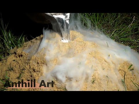 Fire Ant Hill Casting with Aluminum (Cast #070)