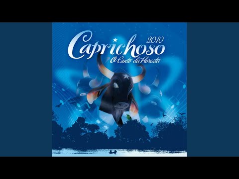Sentimento Porreta - Boi Caprichoso