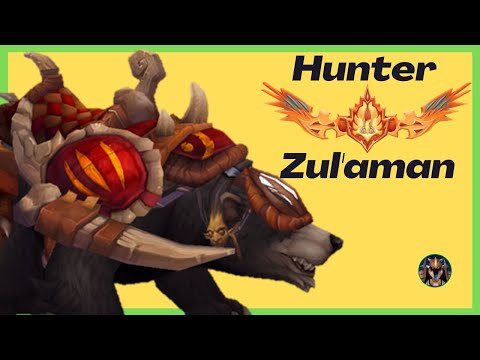 Zul'Aman Full Clear with Timer | Hunter POV