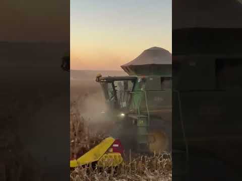 Colheita milho 26 Mato Grosso Santa Rita do trivelato #STS9770milho#jonhdeere#colheita de milho