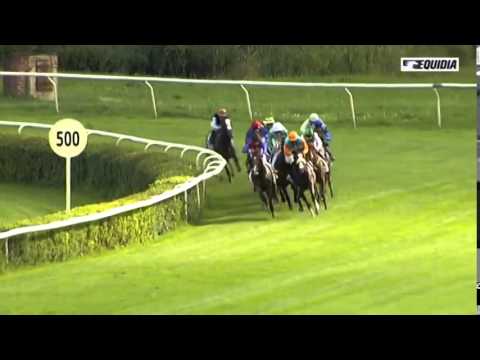 Sirius - 10/08/2014 - Hoppegarten