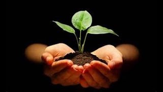 Parable of the Sower but written by teens with ADHD