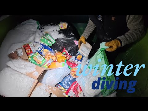 Dumpster diving The Great Winter Waste: Hidden Treasures in the Frosty Northern Michigan Bins!