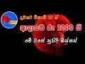 Fighter Sinhala Betta Fish Sinhala Fighter Breeding Sinhala