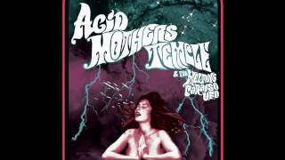 Acid Mothers Temple & The Melting Paraiso U.F.O. ‎-- Astrorgasm From The Inner Space