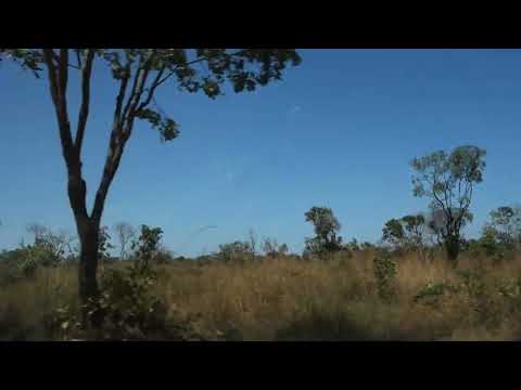 Savane Boisée chère à Michel Hasson, Road to Mwadingusha, Katanga, Congo, RDC, 2022, by HabariSalam