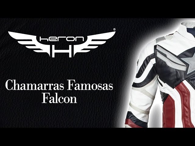 Vídeo relacionado con Falcon Falconer Bird Aver con diseño vintage del equipo universitario Sudadera con Capucha