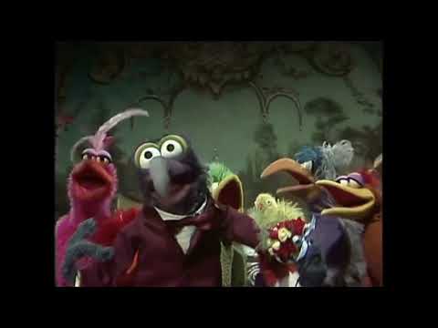 Muppet Songs: Gonzo - She Was One of the Early Birds