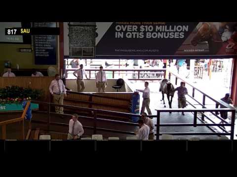 2017 Gold Coast Yearling Sale - Day 5 - Lots 817 to 1030 - Upload
