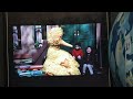Sesame Street Season 39 Number Of The Day Next Segment 7