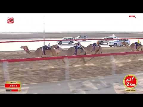 ش 18 (عون) لـ سيف عبيد محمد الخالص العامري 5:47:48 ، مهرجان ختامي الوثبة 2026/03/01 حقايق