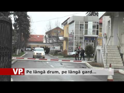 Pe lângă drum, pe lângă gard…