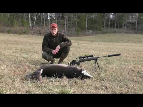 SMÅLANDSJÄGARNA - Smygjakt på dovvilt 2