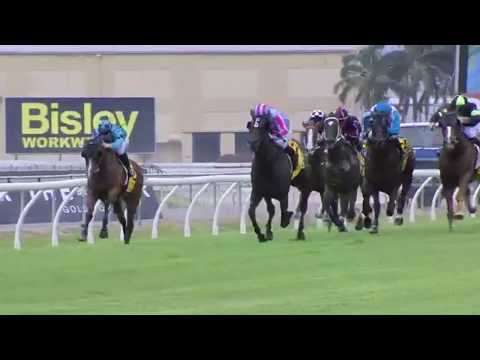 2020 National Broodmare Sale - Etana