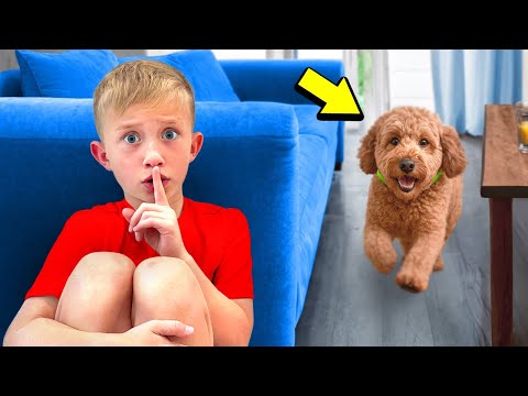 Can Our Dog Find Levi & Ivy Playing Hide & Seek?!