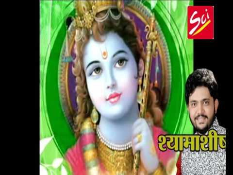 दरबार हजारो है ऐसा दरबार कहा भजन लिरिक्स