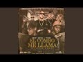 El Combo Me Llama (Remix) (feat. Pusho, Daddy Yankee, Farruko, Cosculluela, D.OZi & amp; Sica)