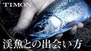 【TIMON STREAM】渓流ルアーフィッシングの基本 / 下広太一