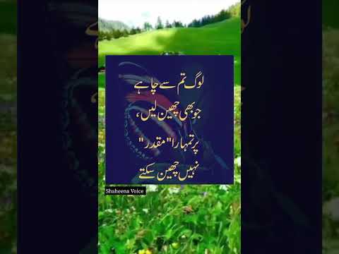 Islamic Quotes#shorts#shaheena voice#ytshorts#viral